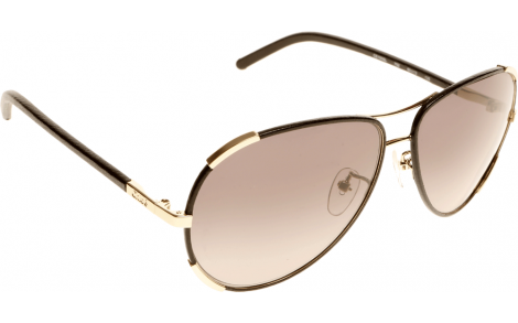 Chloe best sale sunglasses ce100sl